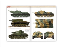 SOVIET WAR COLORS Profile Guide