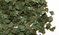 35; Green Leaves - birch