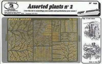 35; Assorted Plants