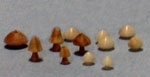 35; Pilze in verschiedenen Ausfhrungen und Gren