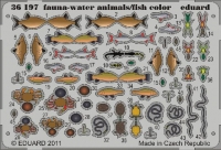 Fish and Water Animals