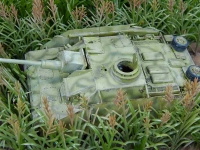 �35, Maispflanzen , hellbraun / welk     (50 St�ck)