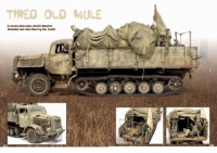 �AFV Modeller Ausgabe 79