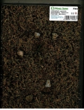 Gelndeflies  WALDBODEN , Sptsommer    ca. 18 x28cm