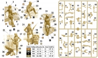 35; Skull Clan II , Amazones , Figure Set