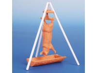 48; Geschlachtetes Schwein   3D Resin Druck