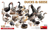 �35; Enten & G�nse  (NEW 07.2026)