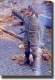 ��35; Brit. Milit�rpolzist  WK II