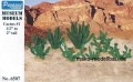 60 Great Cactus  High 3-5cm