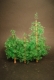 �48;35; Nadelbaum Bausatz 1:48