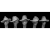 35; 5 Heads with (australian)  Slouch Hats