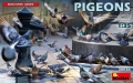 35; PIGEONS